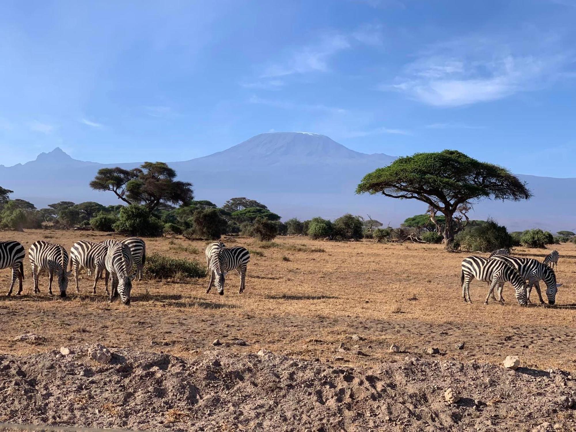 Amboseli Discovery Camp Exterior foto