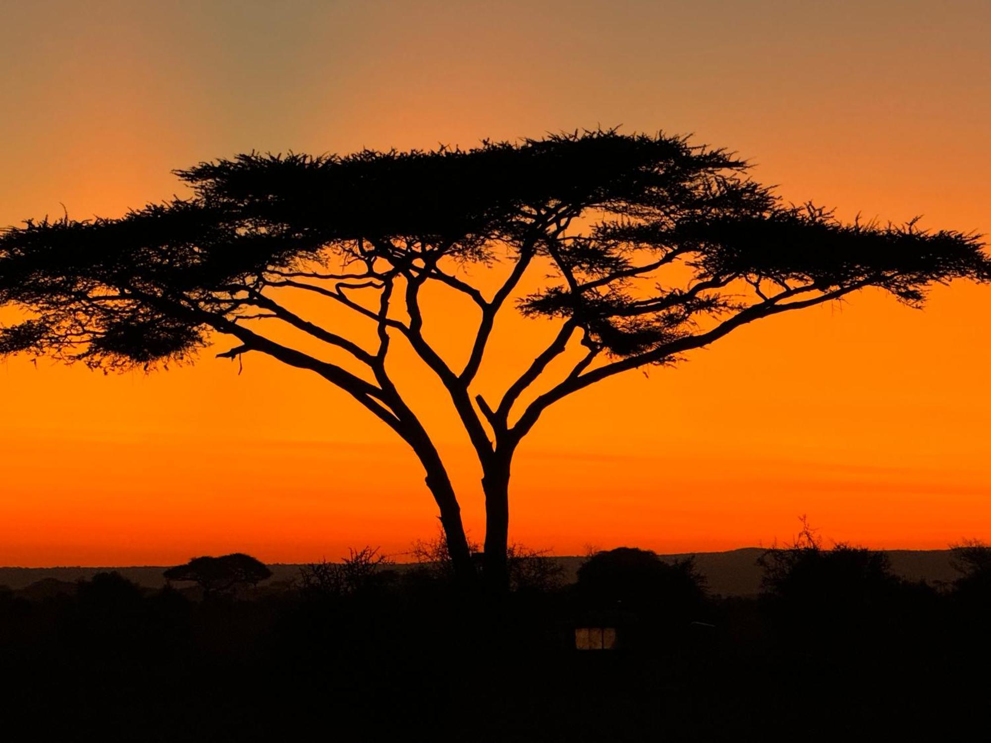 Amboseli Discovery Camp Exterior foto