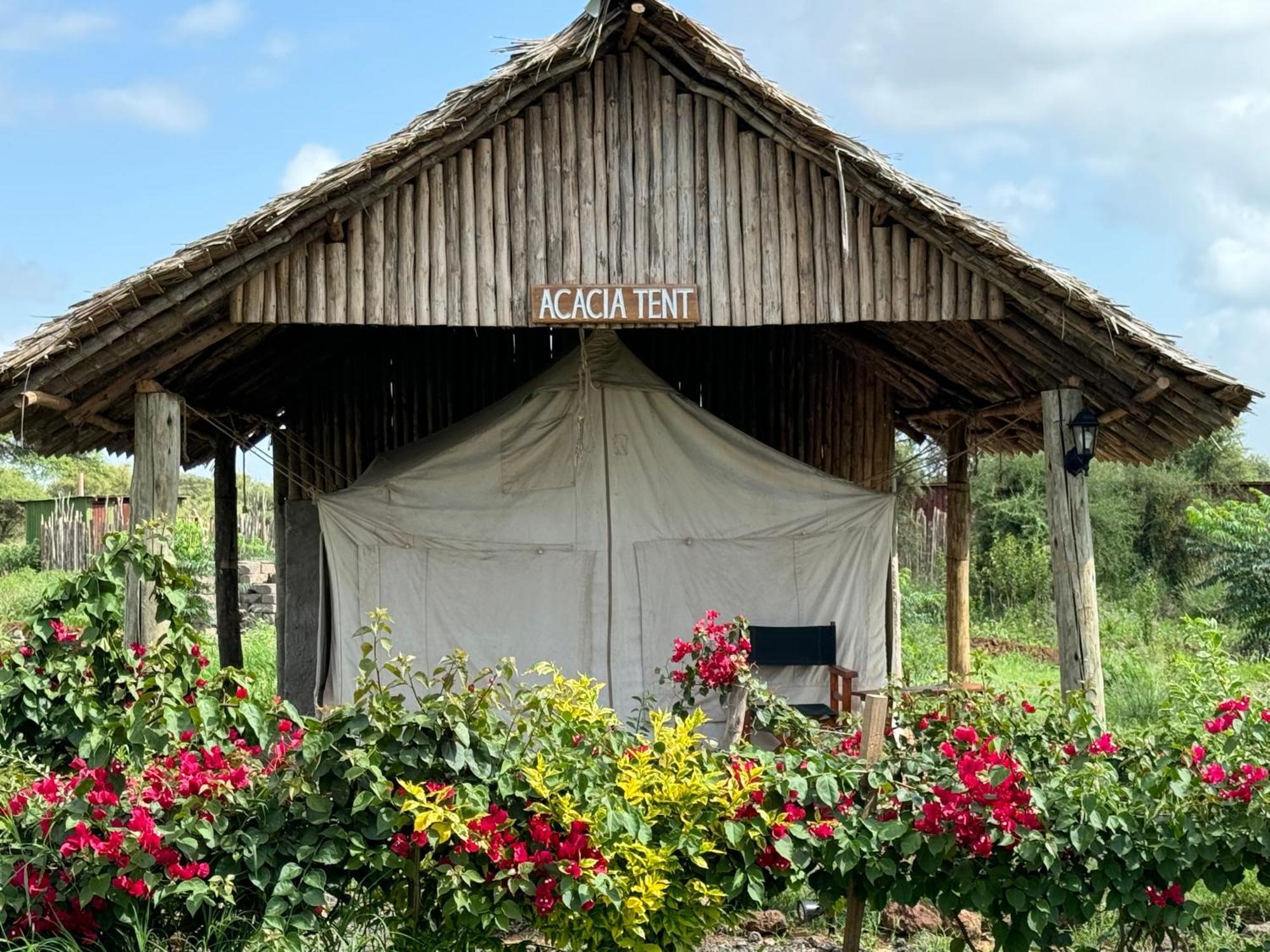Amboseli Discovery Camp Exterior foto